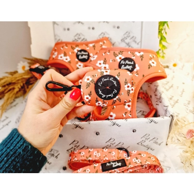 Peach & Ivy Blossom Dog..