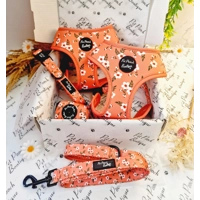 Peach & Ivy Blossom Dog Harness