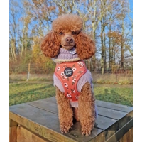 Peach & Ivy Blossom Dog Harness