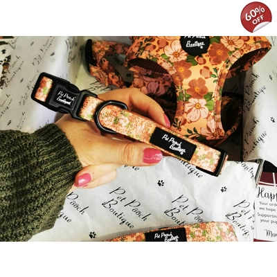 Peach Petals Dog Collar