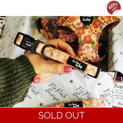 Peach Petals Dog Collar