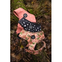 Peach Petals Dog Collar