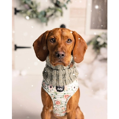 Sage Green Roll Top Dog Snood Sage Green Roll Top Dog Snood