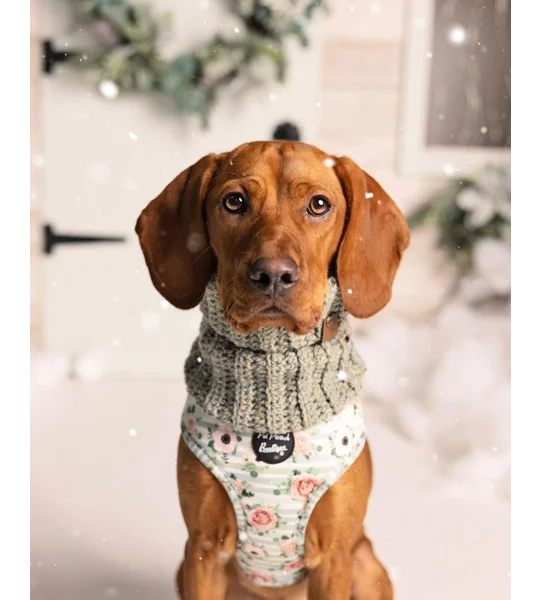 Sage Green Roll Top Dog Snood