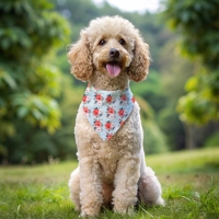 Peppermint Roses Dog Bandana