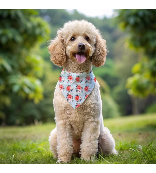 Peppermint Roses Dog Bandana