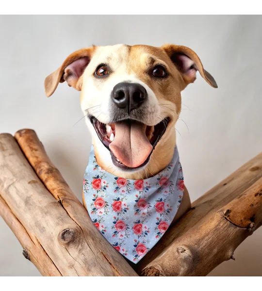 Peppermint Roses Dog Bandana