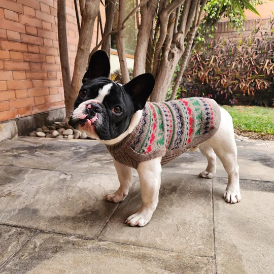 Pine Trees Alpaca Wool Dog Jumper - Alqo Wasi