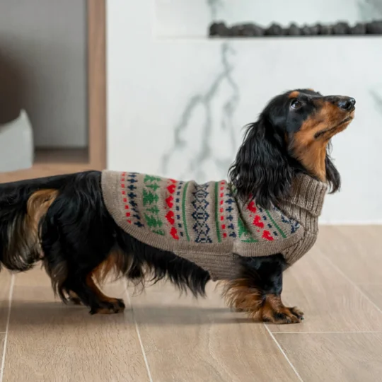 Pine Trees Alpaca Wool Dog Jumper - Alqo Wasi