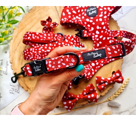 Poppy Toadstool Polkas Dog Collar - OPTIONAL Bow Tie/Flower ACCESSORY