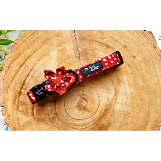 Poppy Toadstool Polkas Dog Collar - OPTIONAL Bow Tie/Flower ACCESSORY