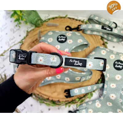 Pretty Little Pastel Green Daisies Dog Collar Pretty Little Pastel Green Daisies Dog Collar