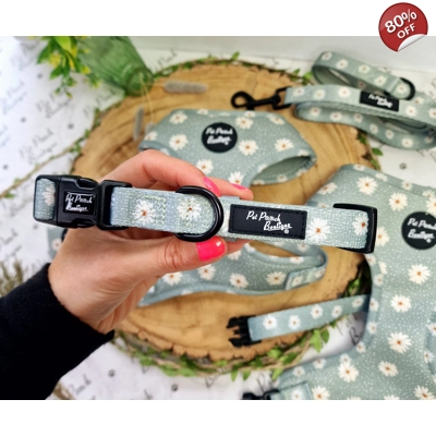 Pretty Little Pastel Green Daisies Dog Collar