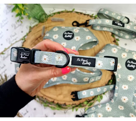 Pretty Little Pastel Green Daisies Dog Collar