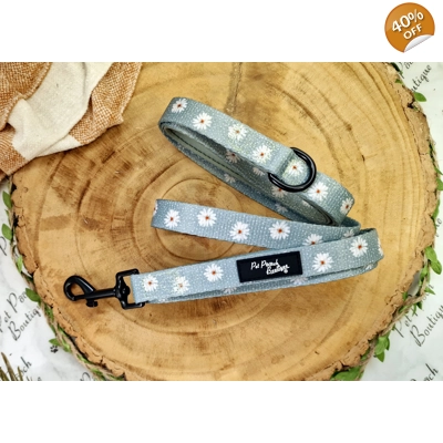 Pretty Little Pastel Gr..