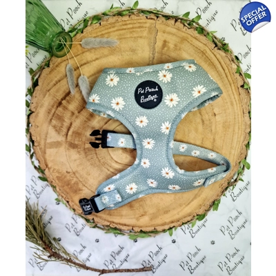 Pretty Little Pastel Green Daisies Dog Harness