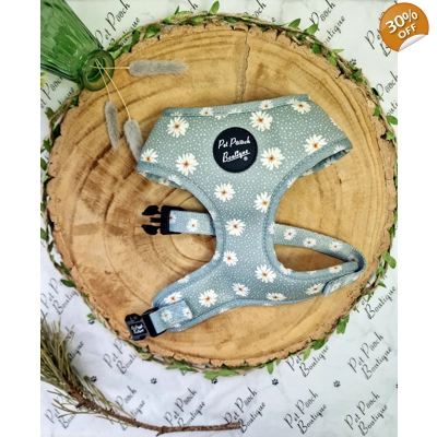 Pretty Little Pastel Green Daisies Dog Harness Pretty Little Pastel Green Daisies Dog Harness