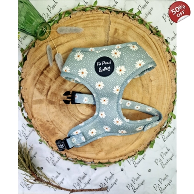 Pretty Little Pastel Green Daisies Dog Harness