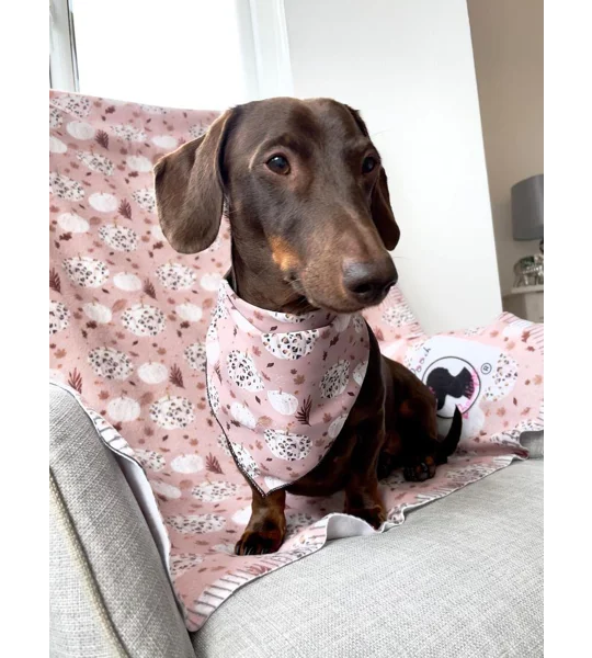 Pumpkin Leopard Latte Dog Bandana