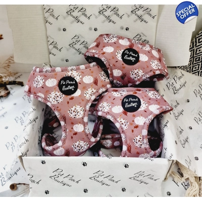 Pumpkin Leopard Latte D..