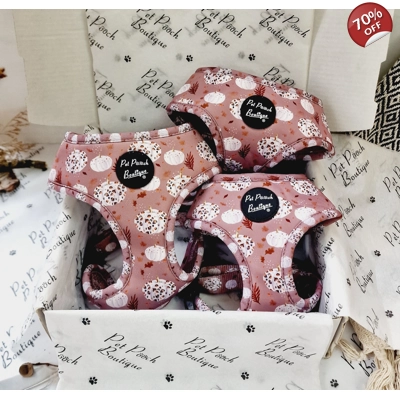 Pumpkin Leopard Latte Dog Harness