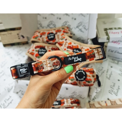 Pumpkin Patch Cart Dog Collar