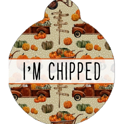 Pumpkin Patch Custom ID Dog Tag - NEW STYLE Pumpkin Patch Custom ID Dog Tag - NEW STYLE