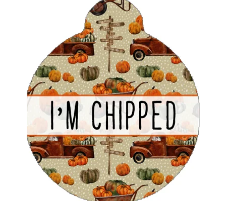 Pumpkin Patch Custom ID Dog Tag - NEW STYLE