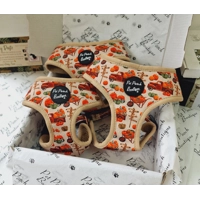 Pumpkin Patch Cart Dog Harness