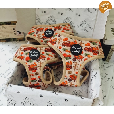 Pumpkin Patch Cart Dog Harness