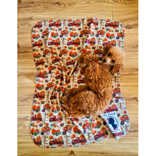 Green Meadow Daisy Fleece Dog Blanket