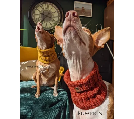 Pumpkin Orange Roll Top Dog Snood