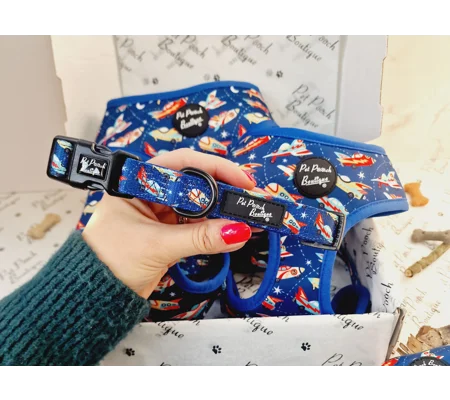 Racing Rocket Ships Dog Collar