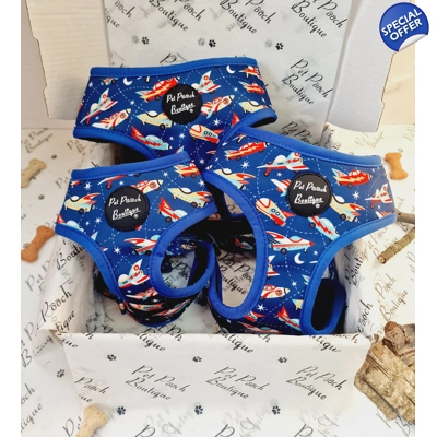 Racing Rocket Ships Dog..