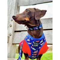 Racing Rocket Ships Dog Harness