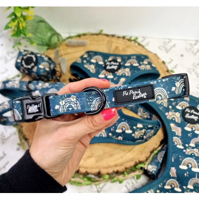 Rainbows In The Forest (Sea Green) Dog Collar Rainbows In The Forest (Sea Green) Dog Collar