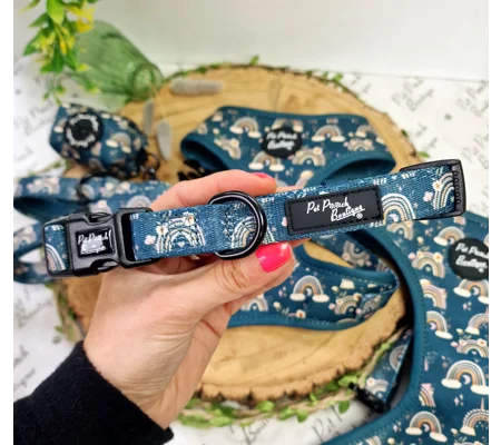 Rainbows In The Forest (Sea Green) Dog Collar