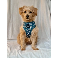 Rainbows In The Forest (Sea Green) Dog Harness