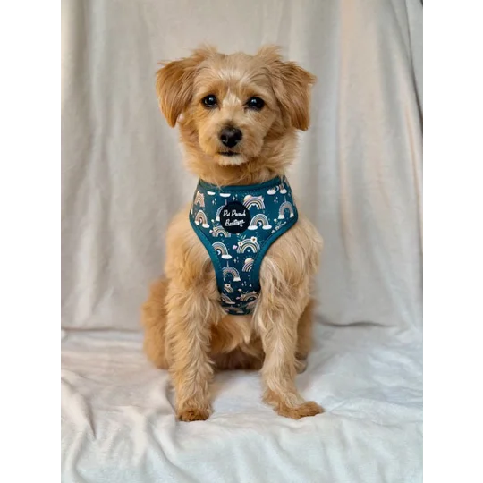 Rainbows In The Forest (Sea Green) Dog Harness