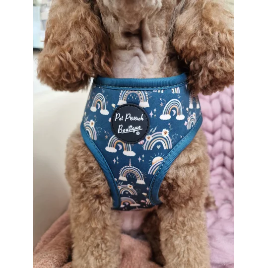 Rainbows In The Forest (Sea Green) Dog Harness