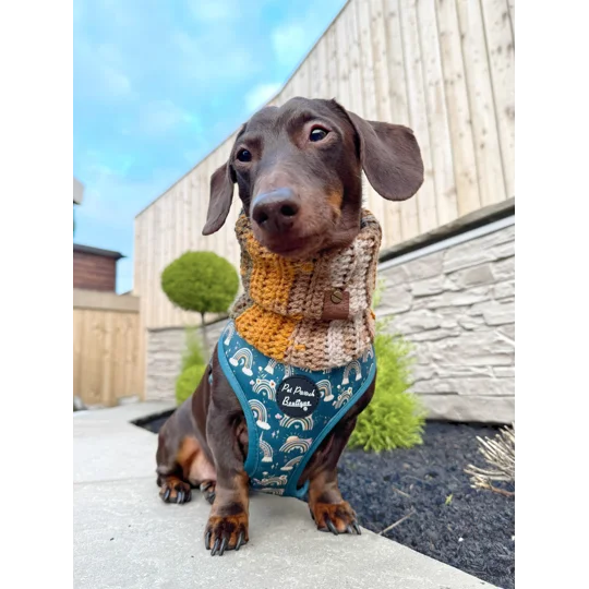 Rainbows In The Forest (Sea Green) Dog Harness