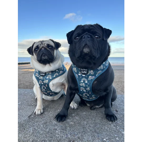 Rainbows In The Forest (Sea Green) Dog Harness
