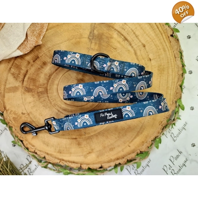 Rainbows In The Forest ..