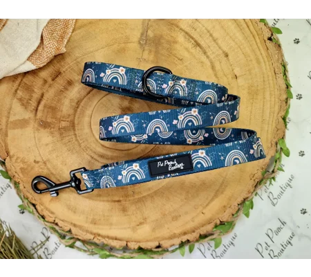 Rainbows In The Forest (Sea Green) Dog Lead - Reversible