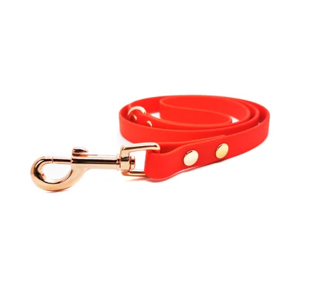 RED Biothane Dog Lead
