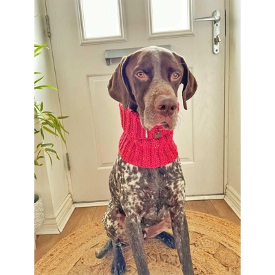 Christmas Red Confetti Roll Top Dog Snood Christmas Red Confetti Roll Top Dog Snood