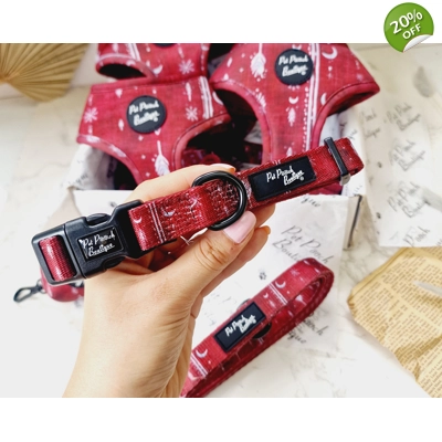 Red Titan Dog Collar