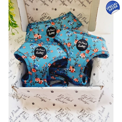 Rosie Rose Cornflower Blue Floral Dog Harness