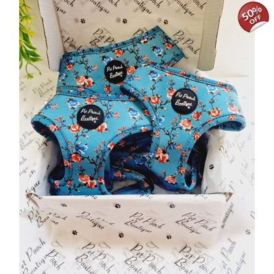 Rosie Rose Cornflower B..