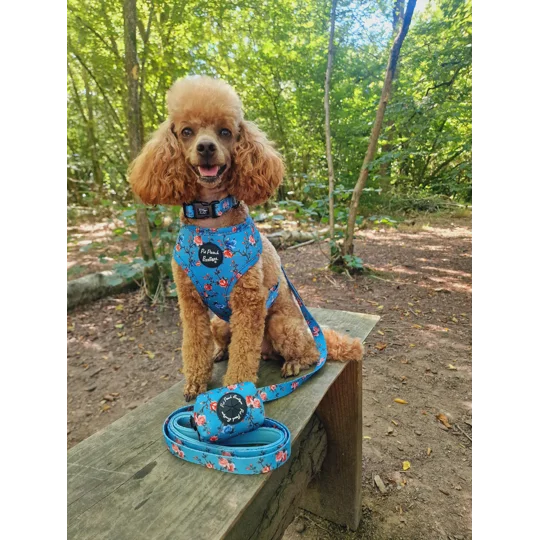 Rosie Rose Cornflower Blue Floral Dog Harness